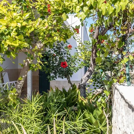 Casa Vacanza Marika Mancaversa Fino A 10 Posti Letto
